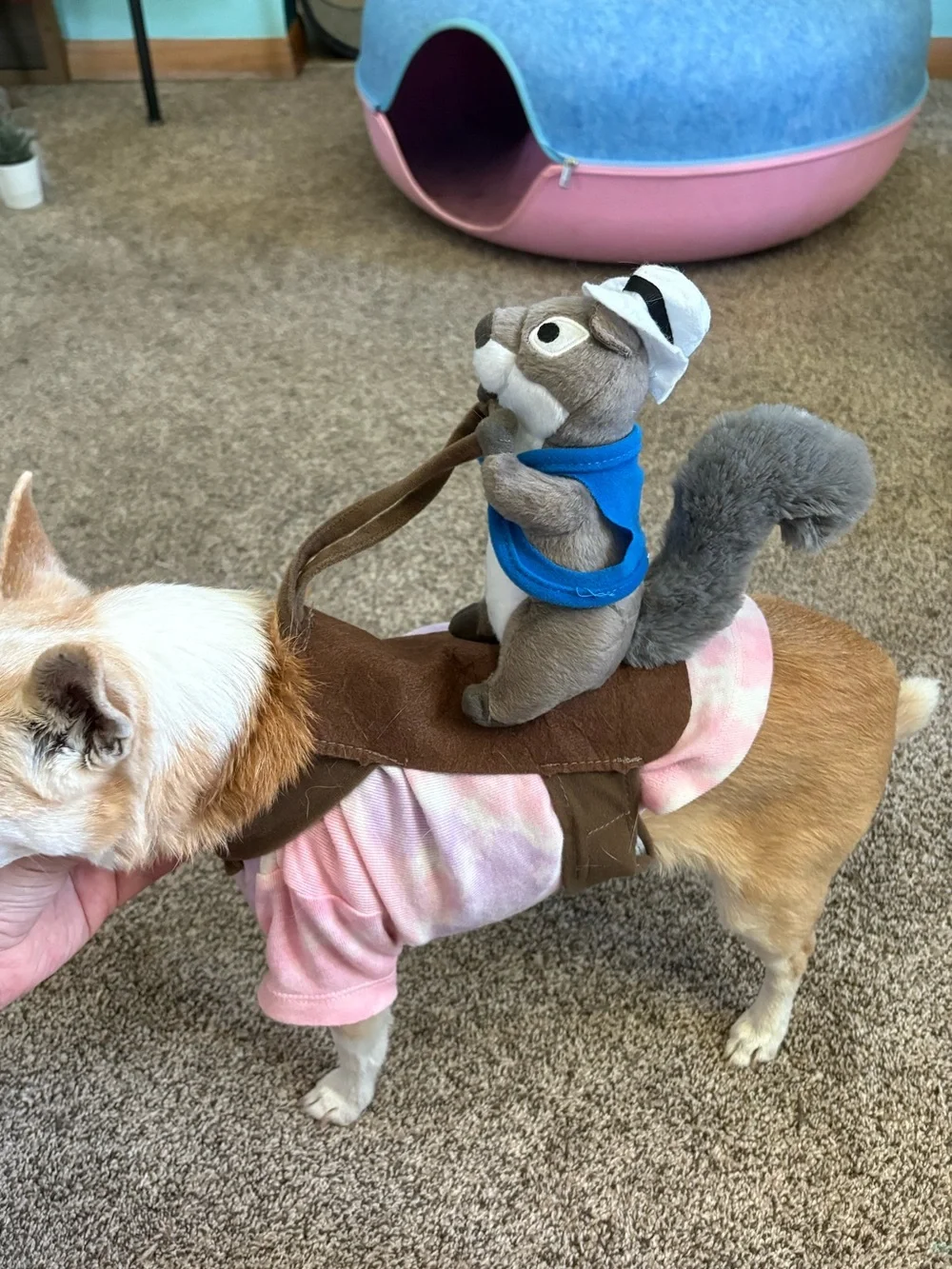 XS/S Dog Costume - Squirrel Sheriff